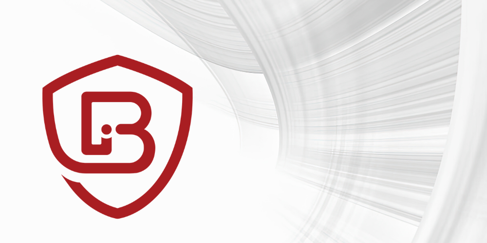 BiornGroupCyber.logo highlight