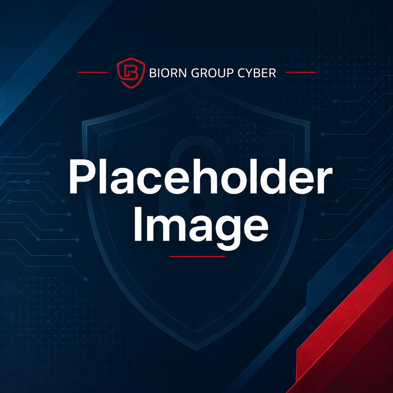 Biorn website placeholder image